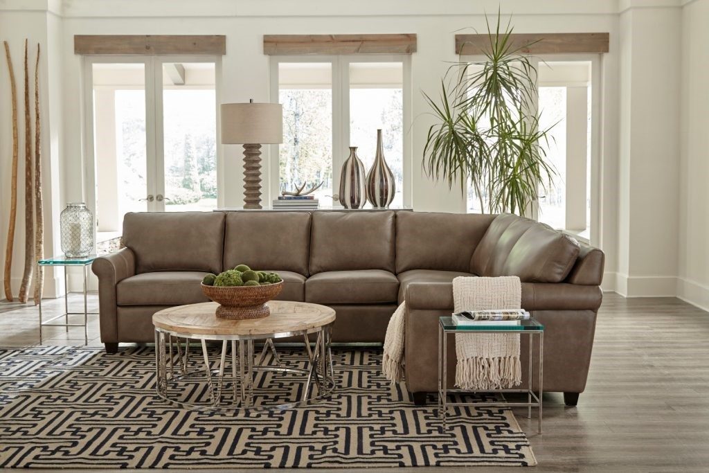 Stylish Sofas for Your Chattanooga Living Room Omnia