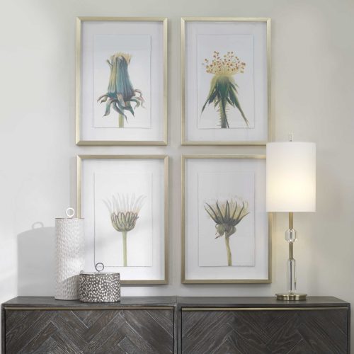 spring home decor wall photos from Uttermost
